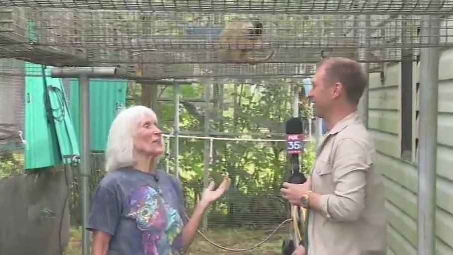 The sanctuary providing homes to retired lab tested monkeys